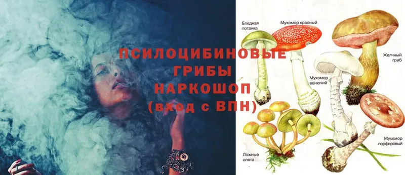 Псилоцибиновые грибы MAGIC MUSHROOMS  hydra tor  Электрогорск  купить  сайты 